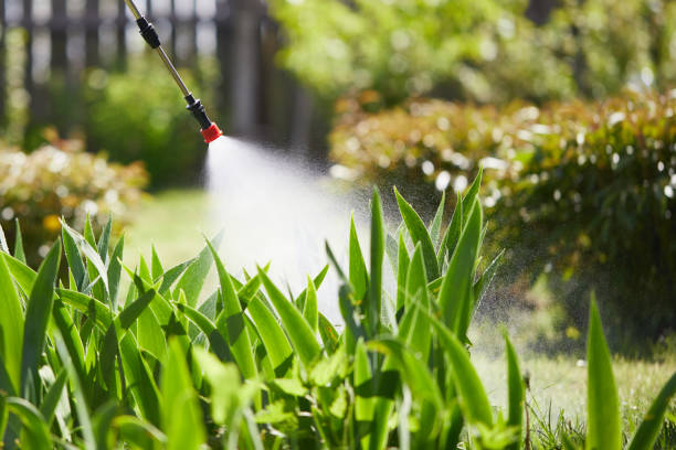 24/7 Emergency Cockroach Control experts in Pierre, SD